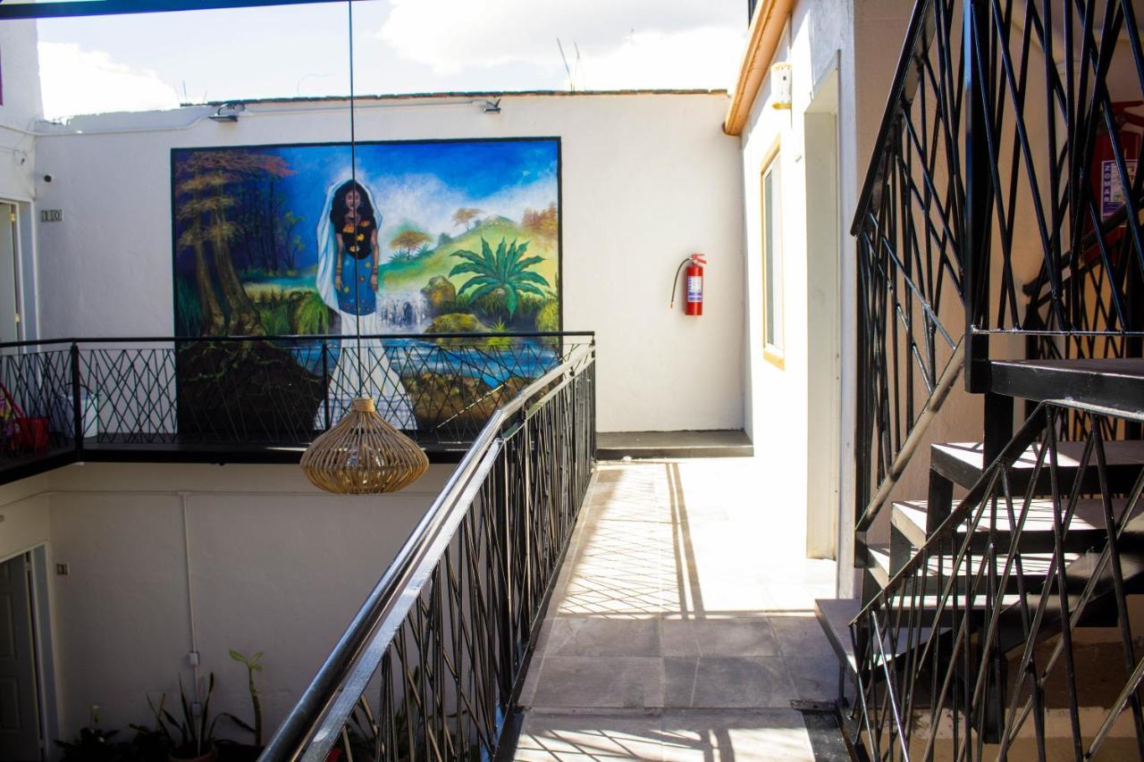 Casa Gubidxa Hotel Oaxaca Екстериор снимка