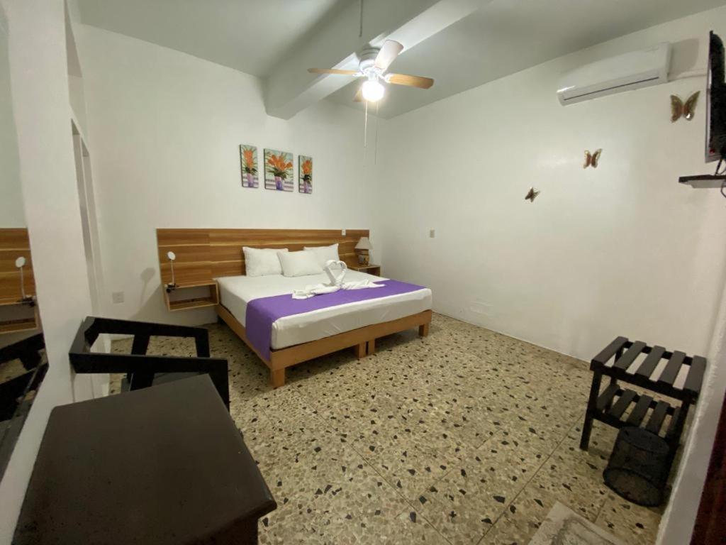 Casa Gubidxa Hotel Oaxaca Екстериор снимка